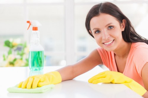 Professional mattress cleaning process in a bedroom