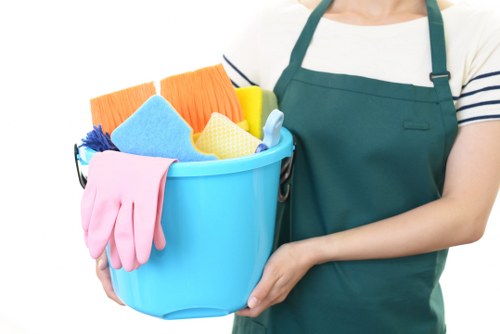 Professional cleaning of a residential building entrance