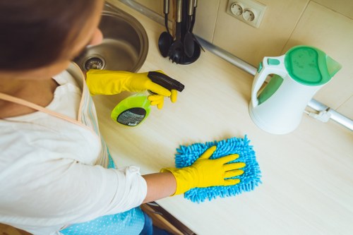 Professional move in cleaning in a bright empty living room