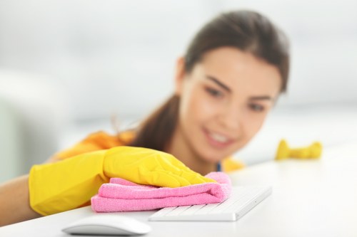 Room-by-room deep cleaning tools arranged neatly