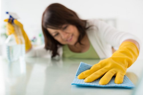 Bathroom cleaned and sanitized during a domestic cleaning routine