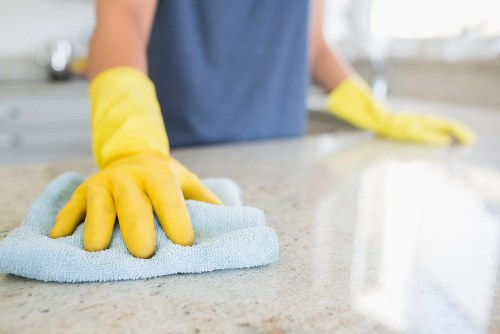 Detailed move in cleaning supplies arranged for a new home