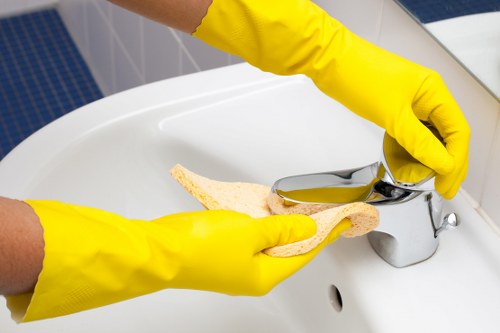 Bathroom deep cleaning during move in preparation