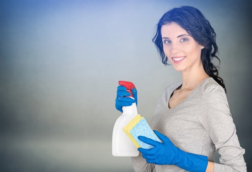 Technician using window cleaning tools on tall glass panes
