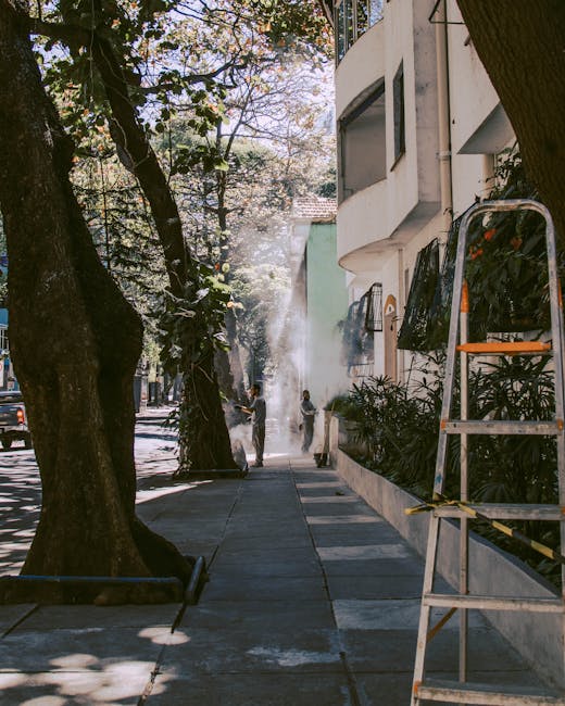 A professional cleaner, a woman with blonde hair, smiling and engaging with a customer, is holding a transparent plastic container filled with cleaning supplies including spray bottles, sponges, and cloths. She is dressed in a black and white uniform. The scene takes place in a well-lit room with natural light streaming through large windows with sheer curtains, illuminating a surface that appears to be a countertop or table cluttered with cleaning materials. The environment looks tidy and organized, reflecting high standards of surface cleaning and sanitisation. The image demonstrates domestic cleaning services provided by Maida Vale Cleaners, emphasizing thorough and friendly service in a bright, clean setting consistent with the focus on hygiene and maintenance typical of the Warwick Avenue cleaning services local guide for W9, Maida Vale.